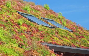 West Harrow living roof systems